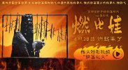 国产激情电影综合在线看免费